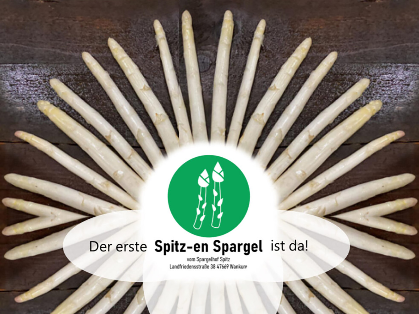 007 nature Fresh Bags onTour Firma Spitz