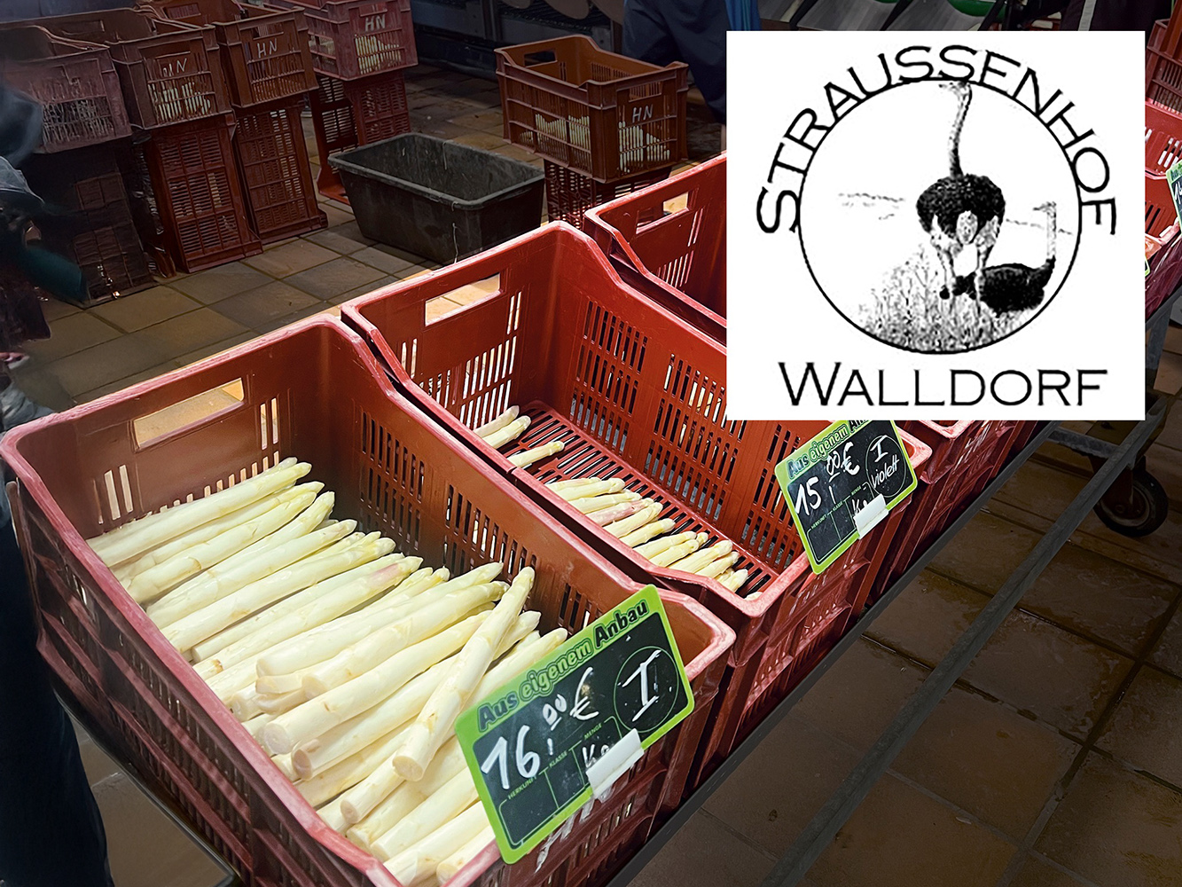 010 nature Fresh Bags onTour Produkt Walldorf