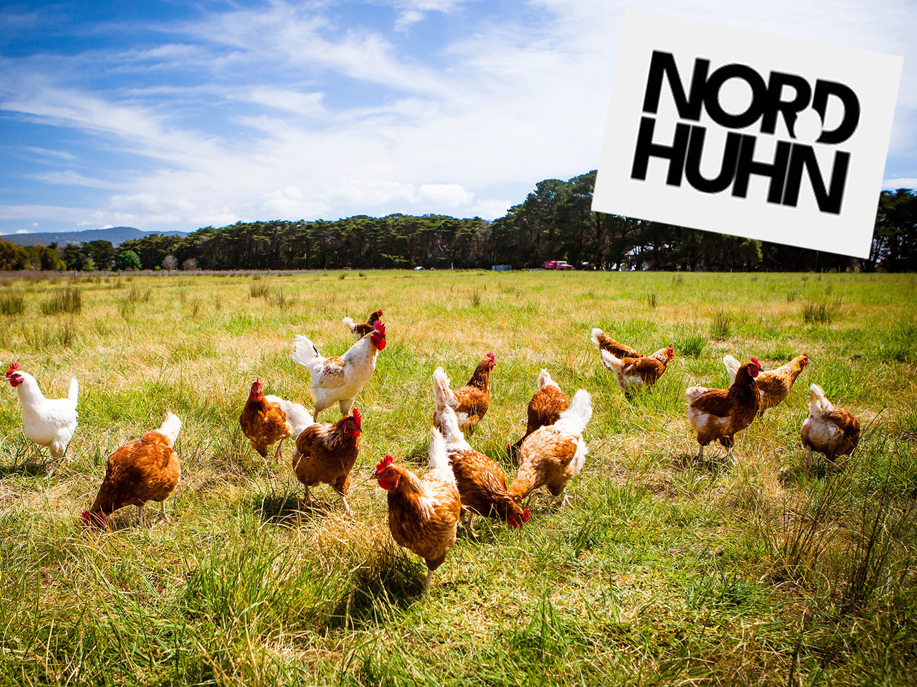 013 nature Fresh Bags onTour Firma Onken Nordhuhn